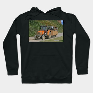 Sark Bus Hoodie